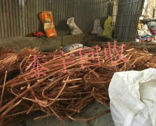 �߃r�U�~����