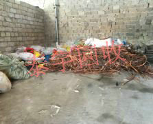 ���~��������