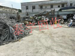 �����߃r(ji��)���ո��N����